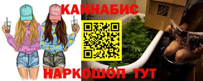 мет Кингисепп