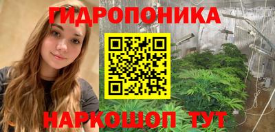 мет Кингисепп