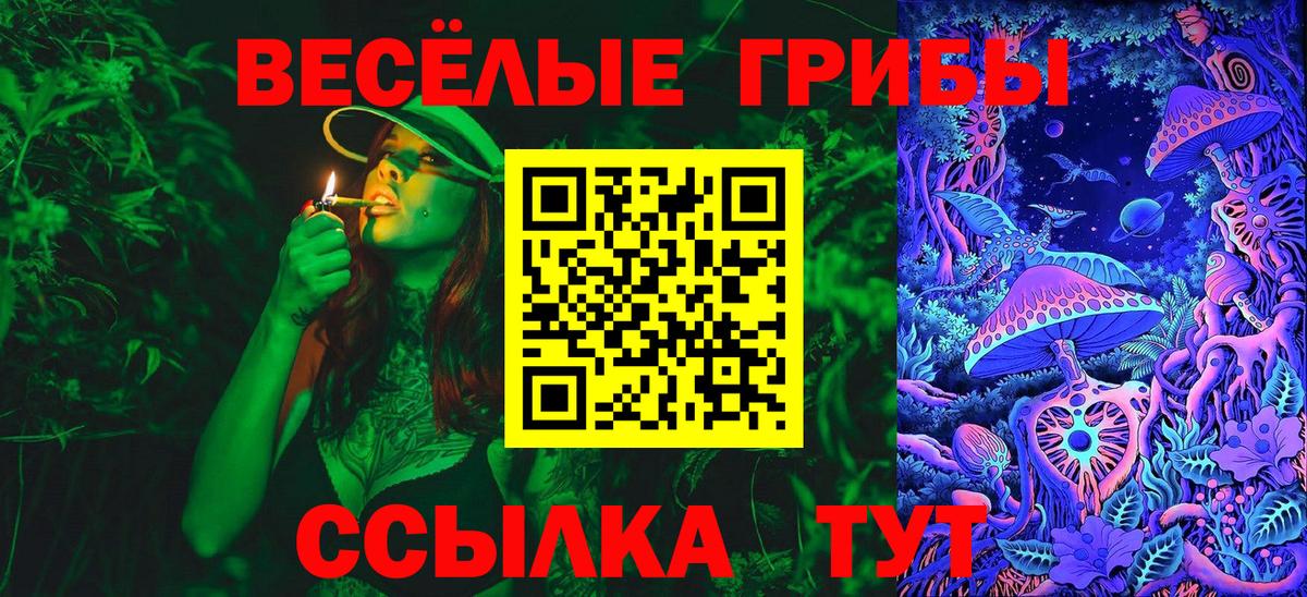 Псилоцибиновые грибы мицелий  Вход с VPN  Карачаевск  Псилоцибиновые грибы мухоморы 