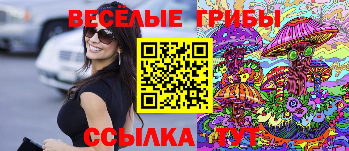 Галлюциногенные грибы Cubensis Карачаевск
